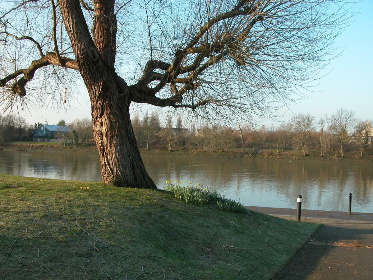 Chiswick Riviera With Free Parking Acomodação com café da manhã Londres Exterior foto